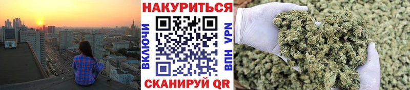 Шишки марихуана THC 21%  Купить где  Вытегра 